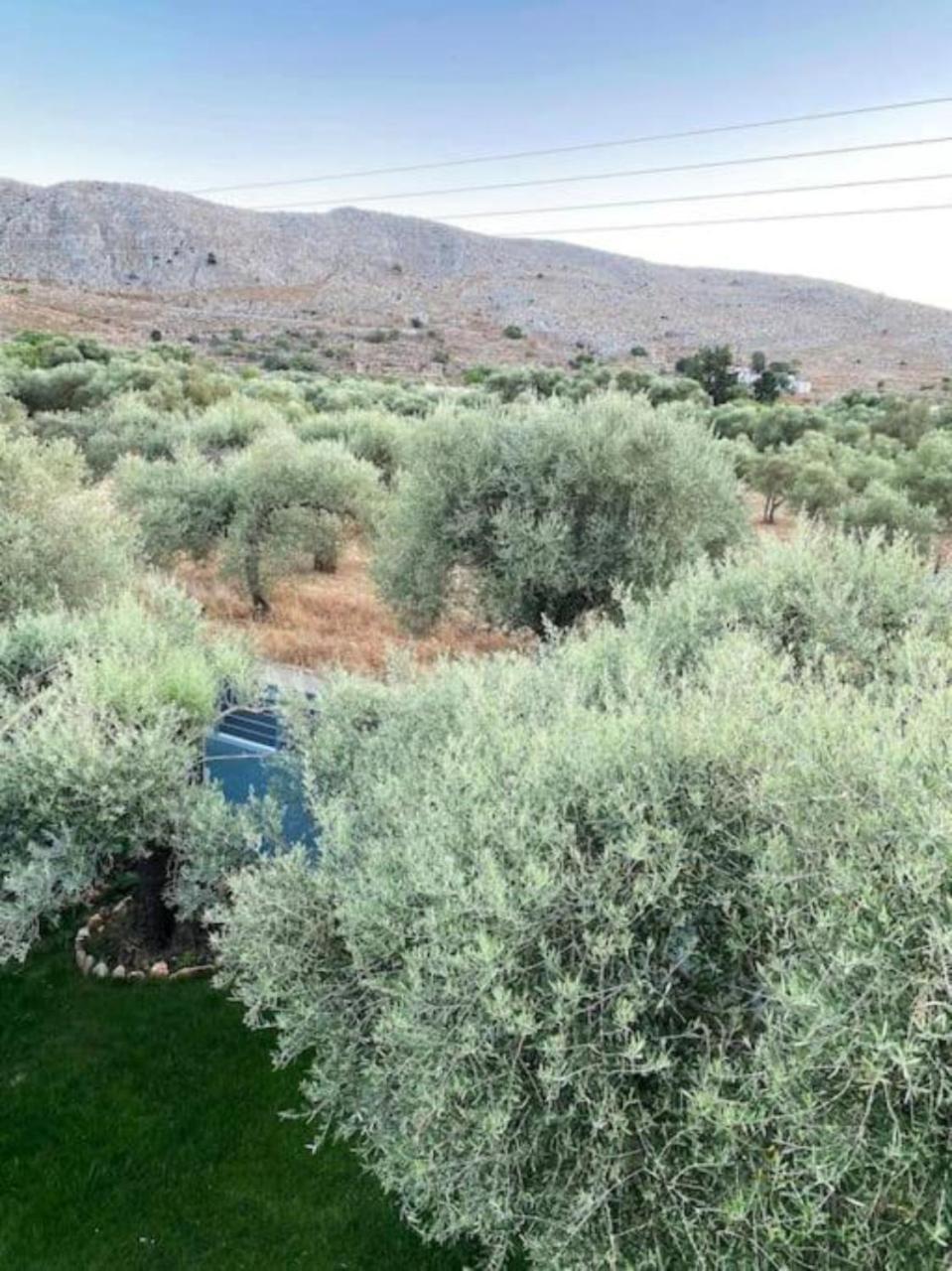 Olives Villa Sinoikismos Kambos Esterno foto